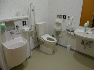 写真：たもくてきトイレ