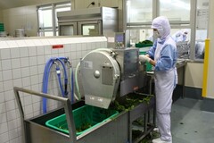 写真：機械で野菜を切る様子