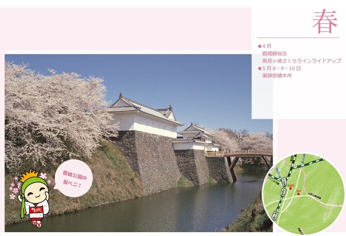 写真：霞城公園の桜