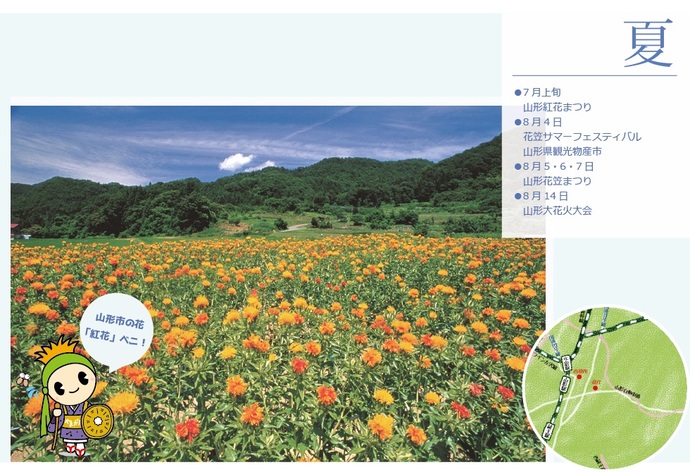 写真：山形市の花「紅花」