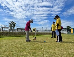 11運動