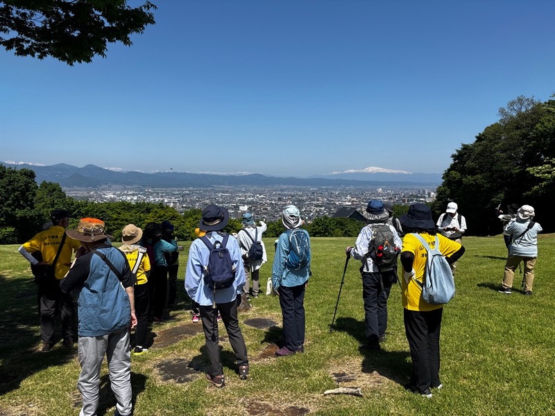 悠創