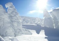 写真：山形市風景　樹氷