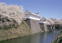 写真：山形市風景　桜