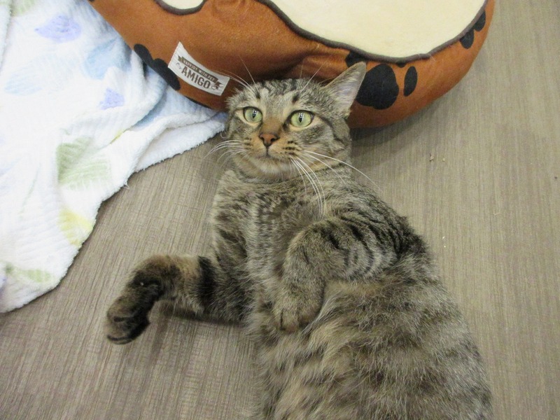 まろ