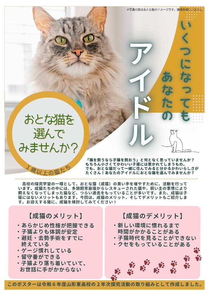成猫チラシ（東高木村さん作）