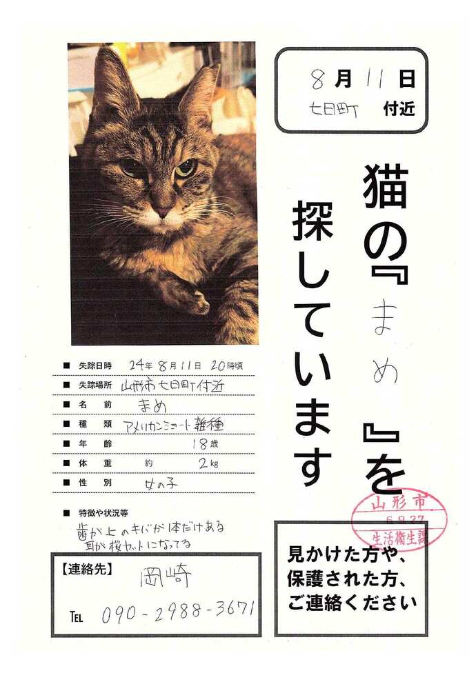 岡崎さん