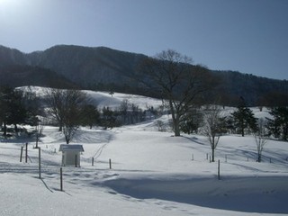 写真：放牧場風景（冬）