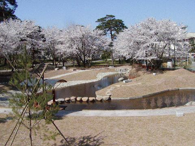 写真：御殿・八ケ郷堰親水広場