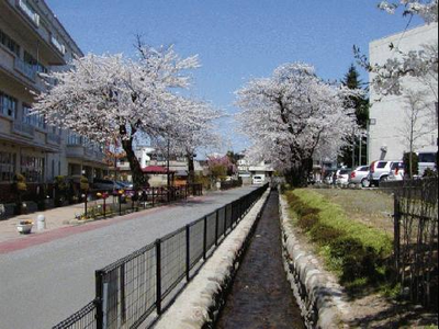 写真：六小東通りせせらぎ水路