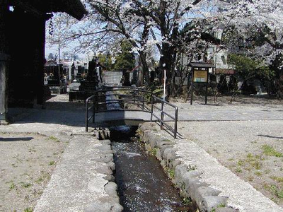 写真：専称寺境内