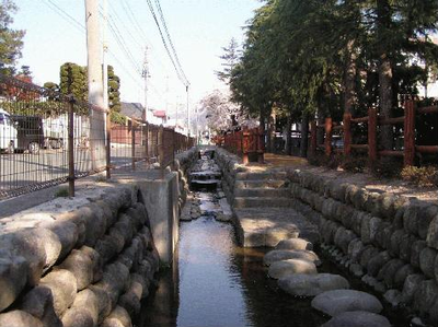 写真：大学通りせせらぎ水路