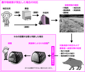 イラスト：農作物被害が発生した場合の対応