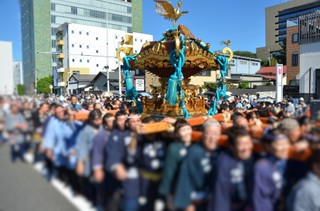 写真：神輿渡御