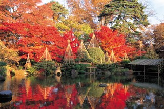 写真：紅葉と、紅葉が水面に映る様子