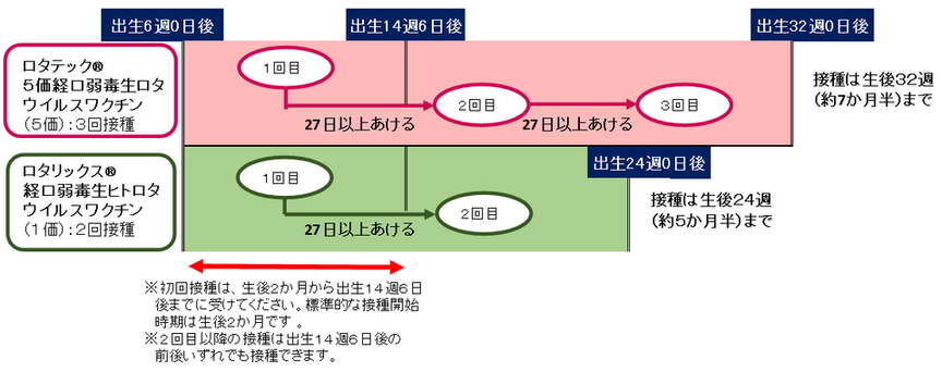 イラスト：ロタウイルスワクチンの接種間隔