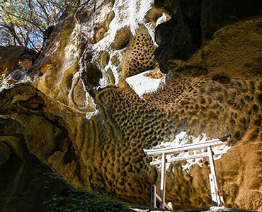 写真：垂水遺跡（裏山寺）