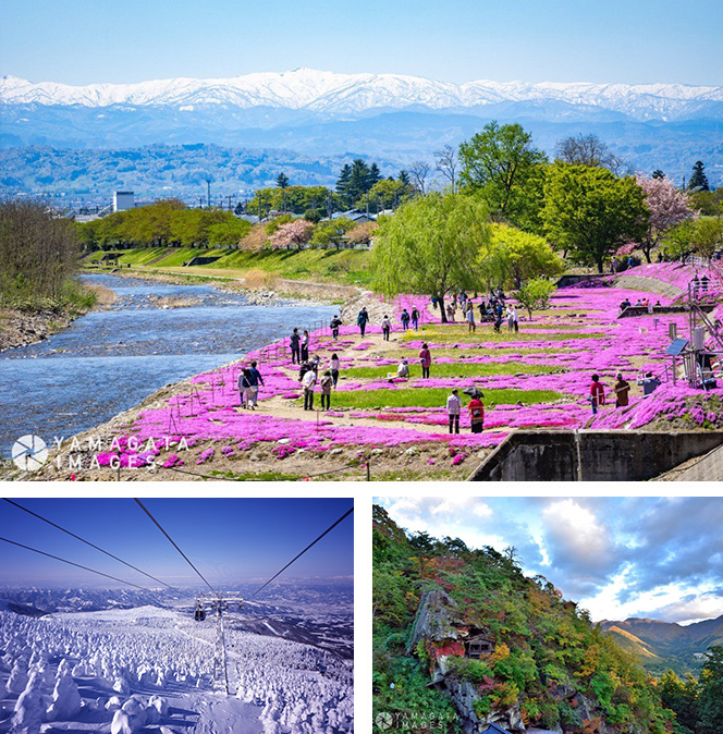 写真：立会川の芝桜、蔵王の樹氷、山寺 宝珠山立石寺