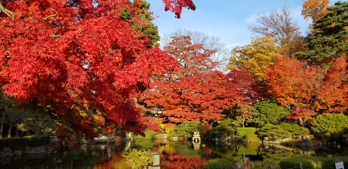 もみじ公園紅葉時期