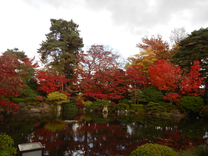 もみじ公園について