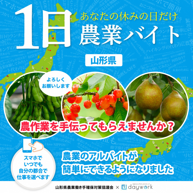 daywook画像