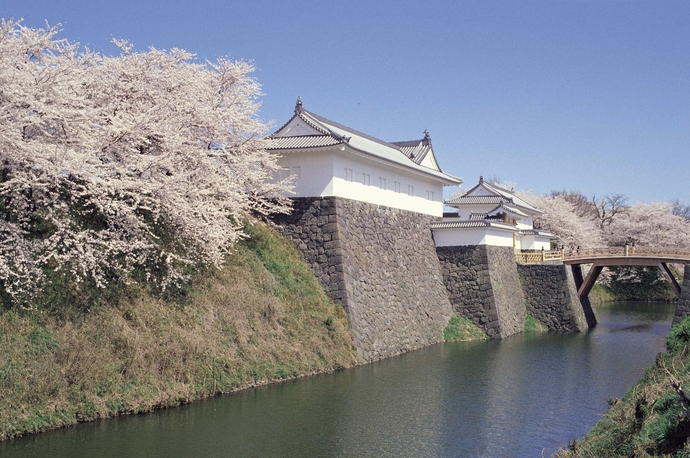 霞城観桜会