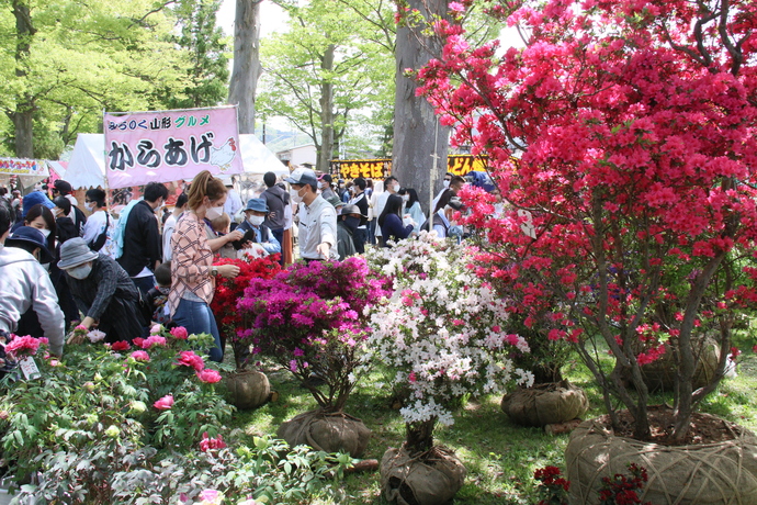 薬師祭植木市