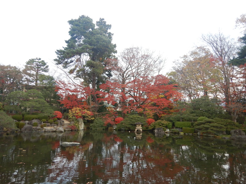 もみじ公園落葉