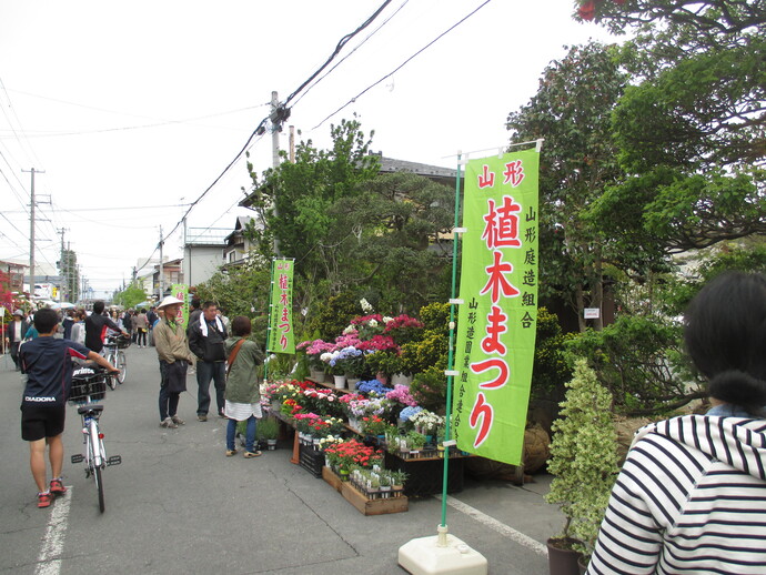 薬師祭植木市のようす