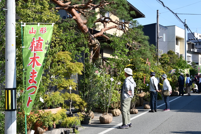 植木を眺める人たち