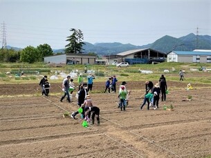 農業体験
