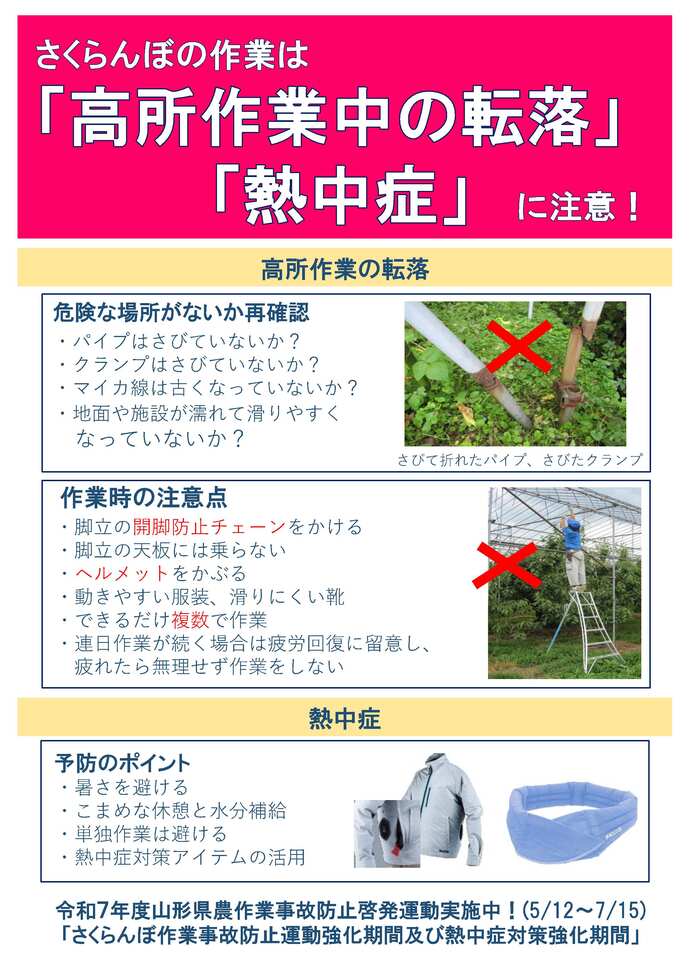 さくらんぼの高所作業注意チラシ