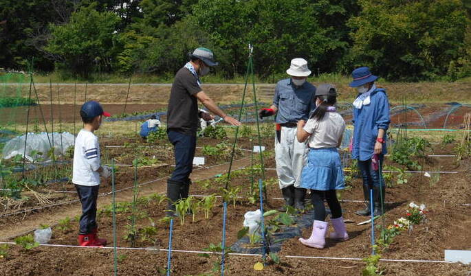 親子農業たんけん隊の様子