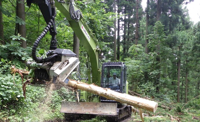 高性能林業機械を活用した森林整備