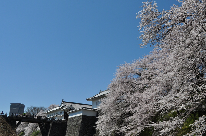 霞城公園