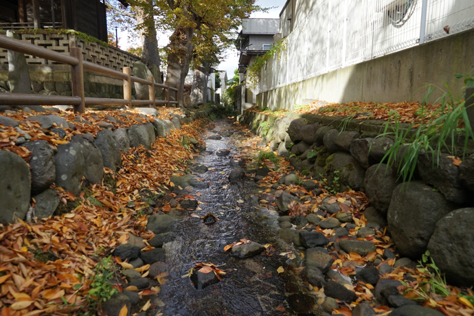 八ケ郷堰(錦町)