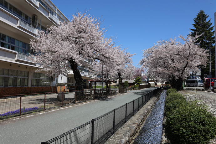 笹堰（鉄砲町）