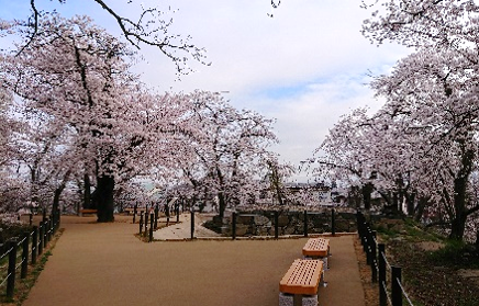 土塁