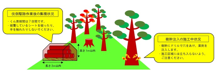 集積等のイメージ図