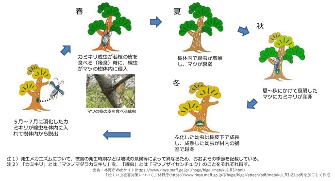 マツ枯れのメカニズム