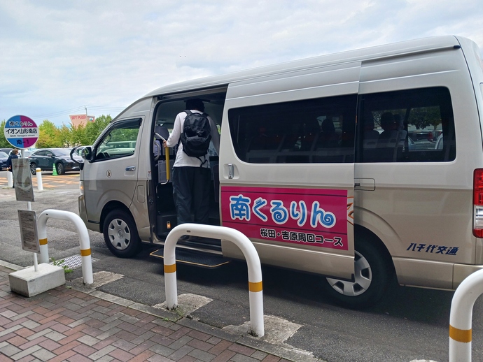彼岸花