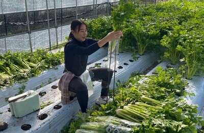 移住体験ツアー
