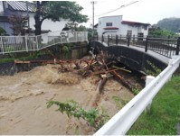 川を流れてきた土砂が橋でせき止められている様子