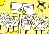 農業用ドローンを利用したさくらんぼ栽培のイラスト