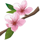 boulderblossom