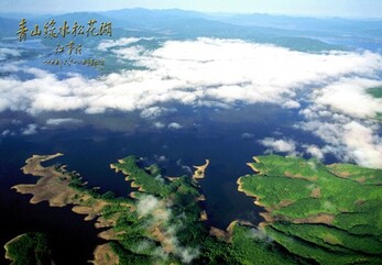 sonhoa