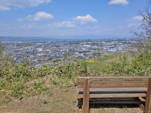 山頂からの眺め