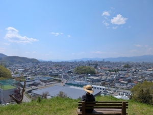 中腹からの眺め