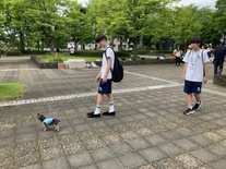 katudou2