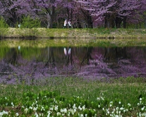 野草園春